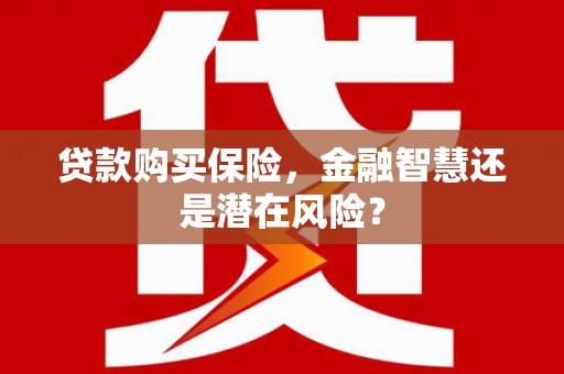 吴起贷款购买保险，金融智慧还是潜在风险？
