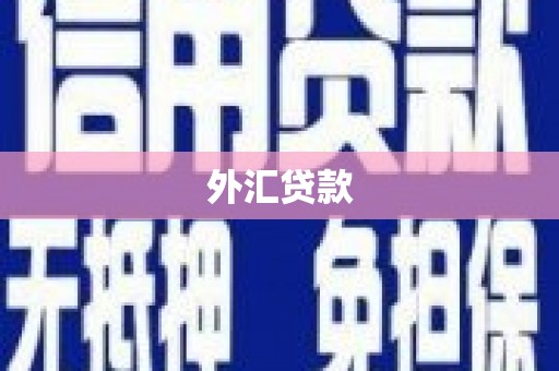 吴起外汇贷款