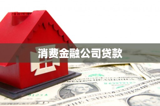 吴起消费金融公司贷款