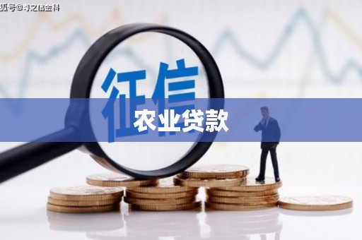 吴起农业贷款