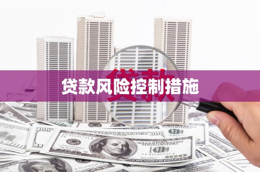 吴起贷款风险控制措施