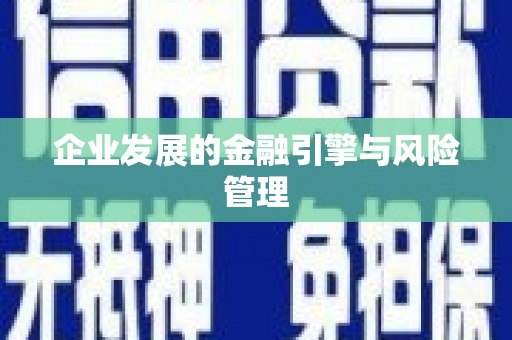 吴起企业发展的金融引擎与风险管理