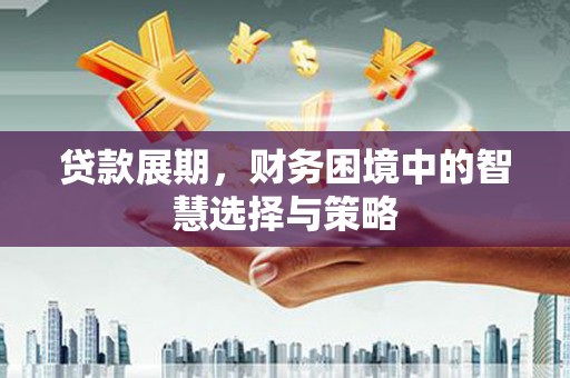 吴起贷款展期，财务困境中的智慧选择与策略