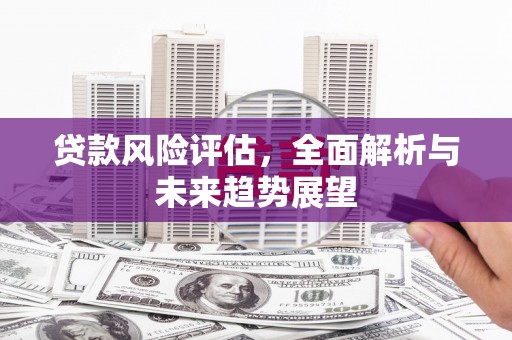 吴起贷款风险评估，全面解析与未来趋势展望