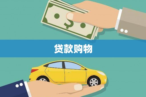 吴起贷款购物