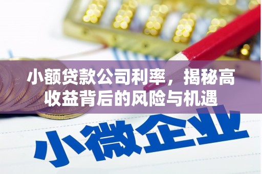 吴起小额贷款公司利率，揭秘高收益背后的风险与机遇