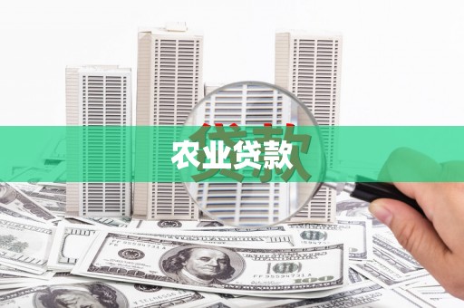吴起农业贷款