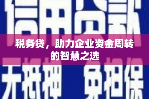 吴起税务贷，助力企业资金周转的智慧之选