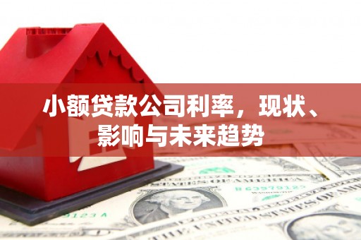 吴起小额贷款公司利率，现状、影响与未来趋势