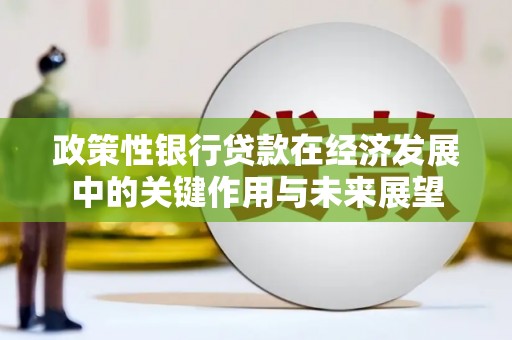 吴起政策性银行贷款在经济发展中的关键作用与未来展望