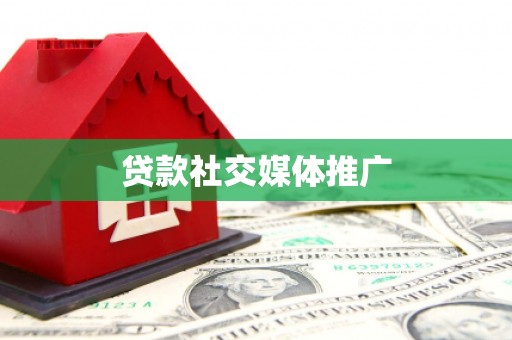 吴起贷款社交媒体推广