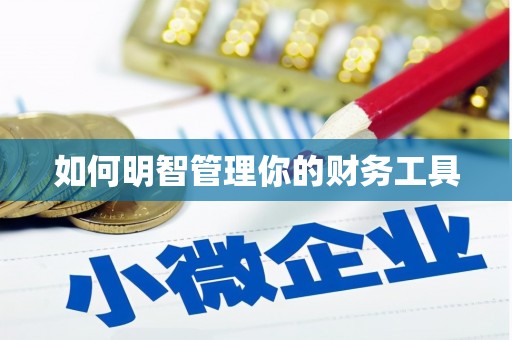 吴起如何明智管理你的财务工具