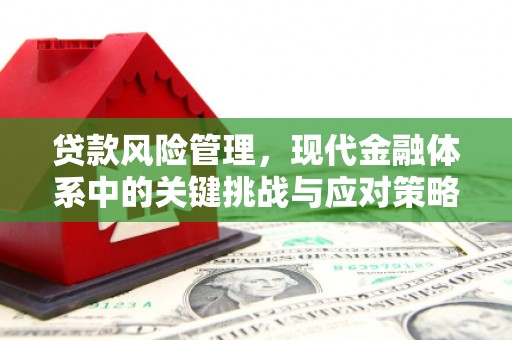 吴起贷款风险管理，现代金融体系中的关键挑战与应对策略