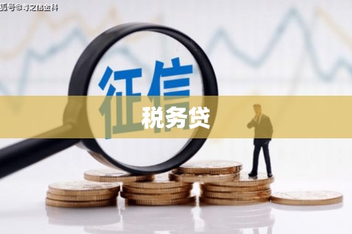 吴起税务贷