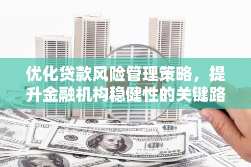 吴起优化贷款风险管理策略，提升金融机构稳健性的关键路径