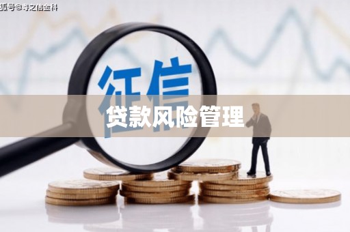 吴起贷款风险管理