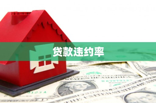 吴起贷款违约率