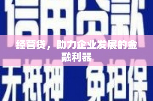 吴起经营贷，助力企业发展的金融利器