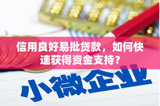吴起信用良好易批贷款，如何快速获得资金支持？
