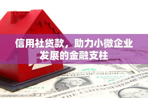 吴起信用社贷款，助力小微企业发展的金融支柱