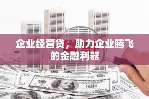 吴起企业经营贷，助力企业腾飞的金融利器