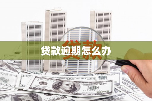 吴起贷款逾期怎么办