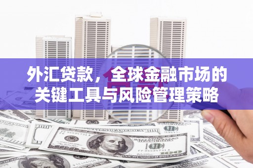 吴起外汇贷款，全球金融市场的关键工具与风险管理策略