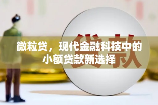 吴起微粒贷，现代金融科技中的小额贷款新选择