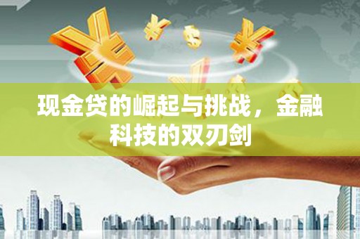 吴起现金贷的崛起与挑战，金融科技的双刃剑