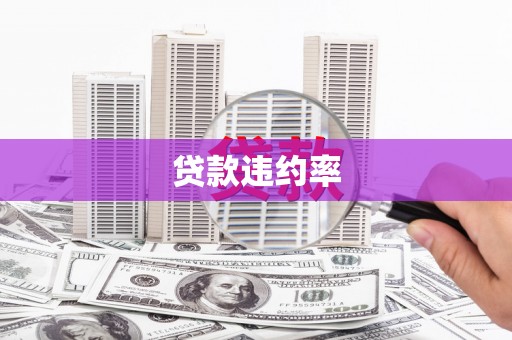 吴起贷款违约率