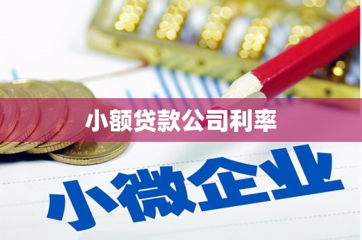 吴起小额贷款公司利率