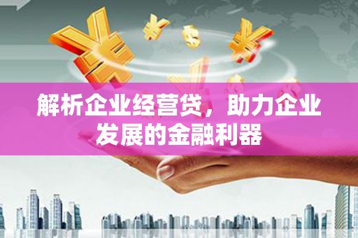 吴起解析企业经营贷，助力企业发展的金融利器