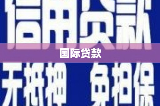 吴起国际贷款