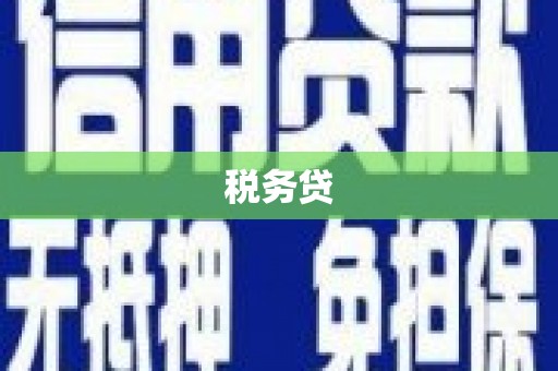 吴起税务贷