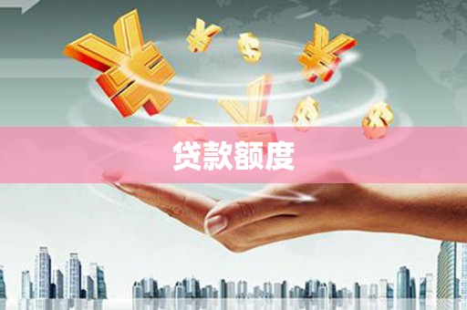 吴起贷款额度