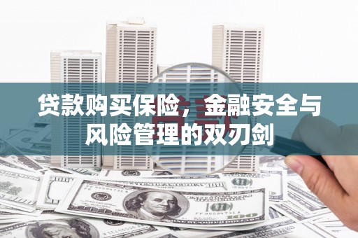 吴起贷款购买保险，金融安全与风险管理的双刃剑