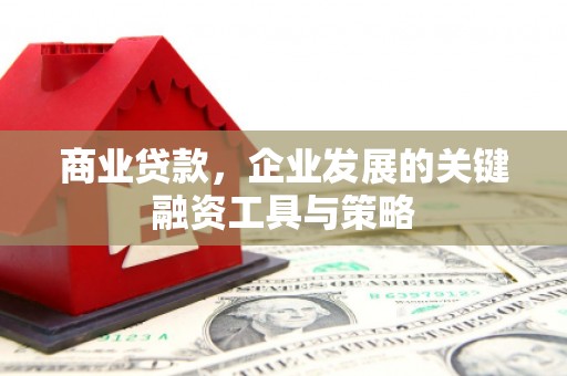 吴起商业贷款，企业发展的关键融资工具与策略