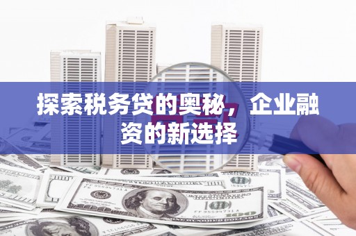 吴起探索税务贷的奥秘，企业融资的新选择