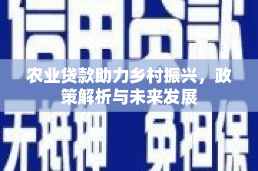 吴起农业贷款助力乡村振兴，政策解析与未来发展