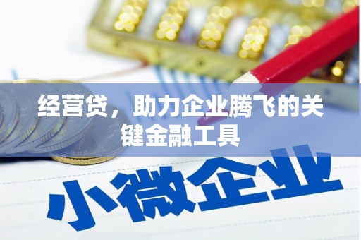 吴起经营贷，助力企业腾飞的关键金融工具