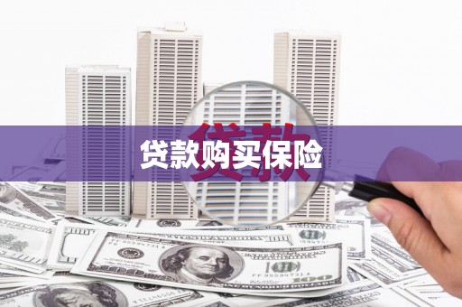 吴起贷款购买保险