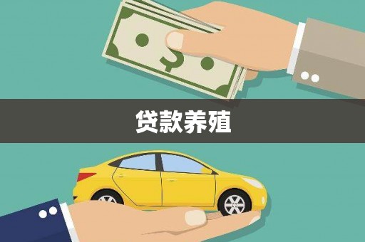 吴起贷款养殖