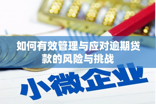 吴起如何有效管理与应对逾期贷款的风险与挑战