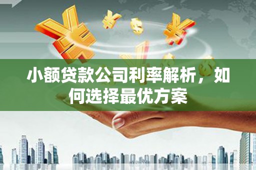 吴起小额贷款公司利率解析，如何选择最优方案