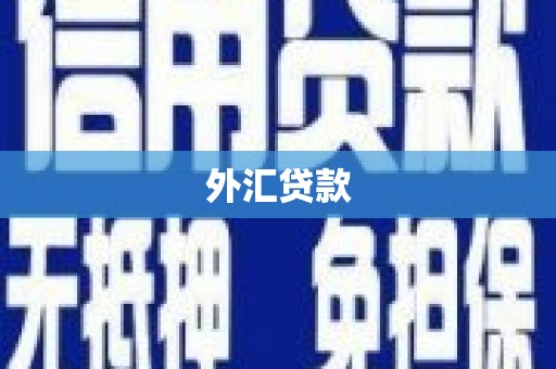 吴起外汇贷款