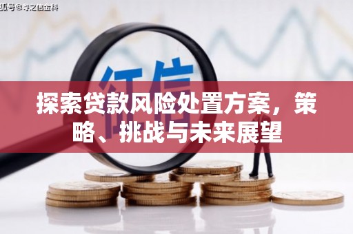 吴起探索贷款风险处置方案，策略、挑战与未来展望