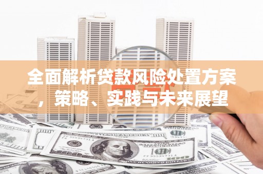 吴起全面解析贷款风险处置方案，策略、实践与未来展望