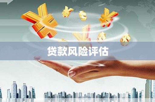 吴起贷款风险评估
