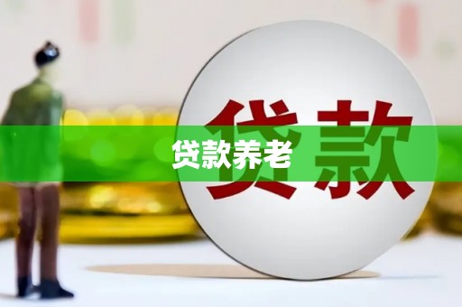 吴起贷款养老