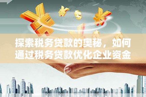 吴起探索税务贷款的奥秘，如何通过税务贷款优化企业资金流